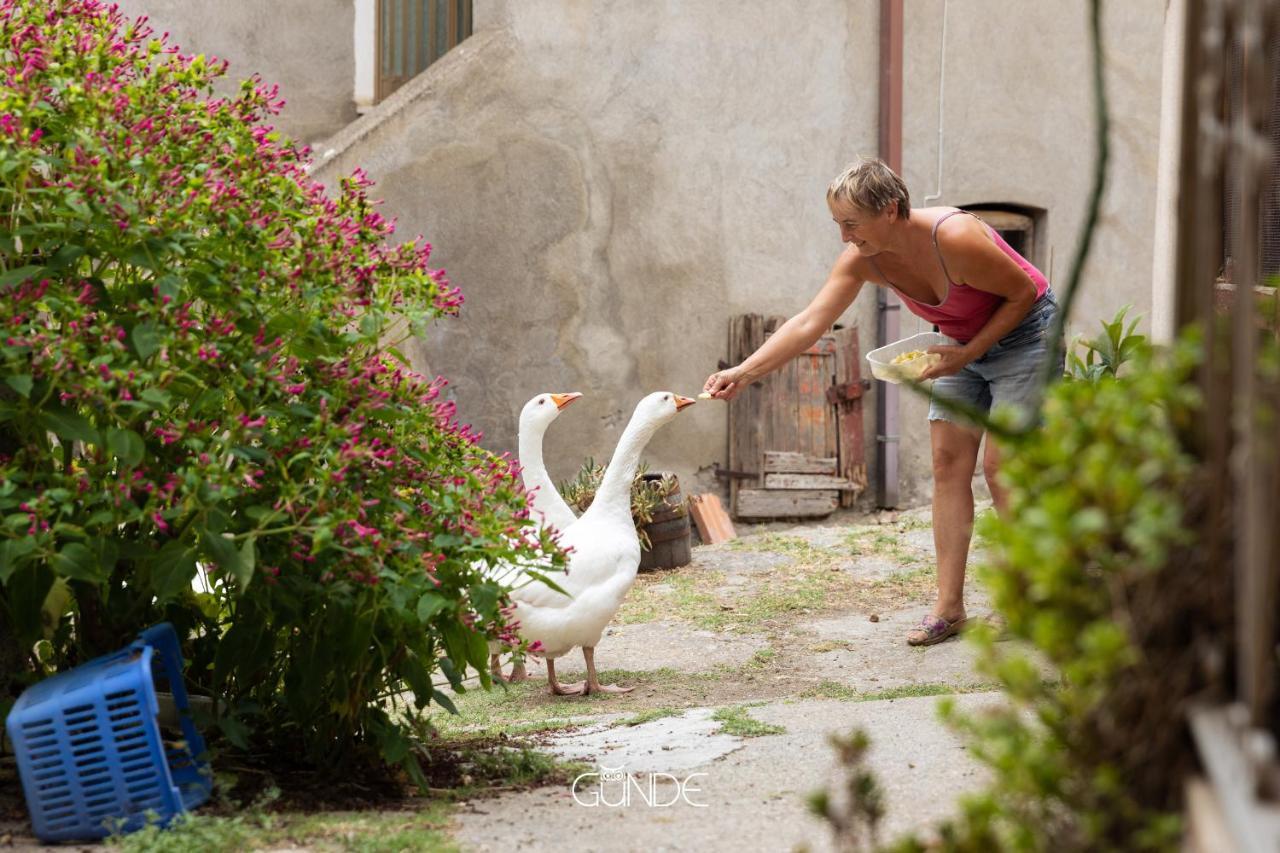 La Casa Contadina Nel Paese Delle Fiabe Roccalvecce Exterior foto